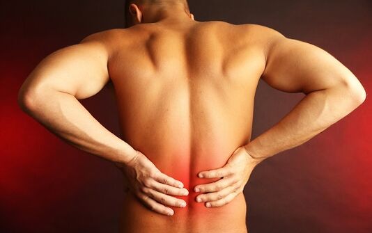 pain in the lower back